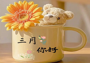 三月不只有纪念日，还有施奈仕的生日密码